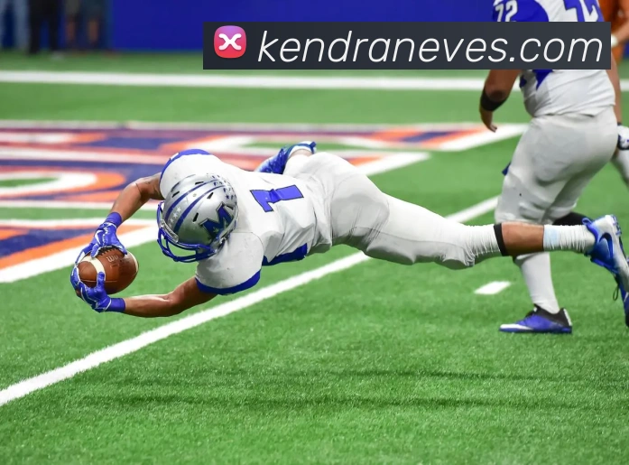 互动解说服务